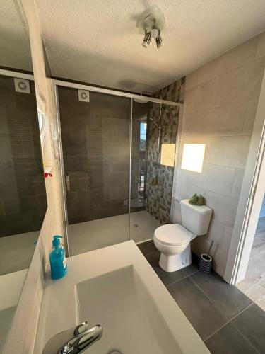 a bathroom with a toilet and a tub and a sink at Casa da Ilha Granjal Treixedo in Castelejo