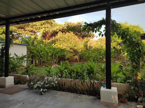 a garden with plants and flowers on a patio at CASA DE CAMPO LA VICTORIA in Rivera