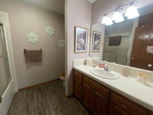 uma casa de banho com um lavatório e um espelho em Cozy house centrally located close to everything in NWA em Springdale