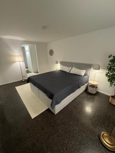 Tempat tidur dalam kamar di Isaak Appartment Stadtjuwel