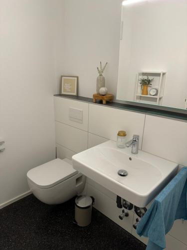 Ένα μπάνιο στο Isaak Appartment Stadtjuwel