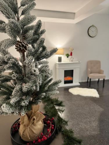 a christmas tree in a living room with a fireplace at Isaak Appartment Stadtjuwel in Waldshut-Tiengen