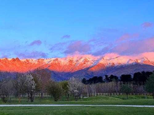 a view of a snow covered mountain range with trees at Glamping Dome - Pinot in Cromwell