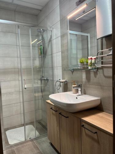 R Lux Apartman Jagodina Akva Parkにあるバスルーム