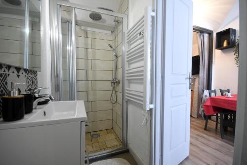 a bathroom with a shower and a white sink at Le trio des alpes in Mont-Dauphin