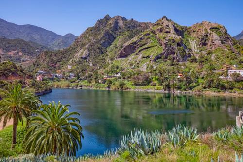 a river with palm trees in front of a mountain at Casa Luisa Atico - Vallehermoso Centro Casco Antiguo in Vallehermoso