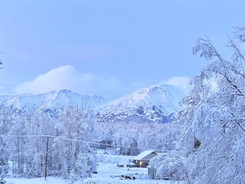 Beautiful and Comfy Palmer Gem Near Hatcher Pass semasa musim sejuk