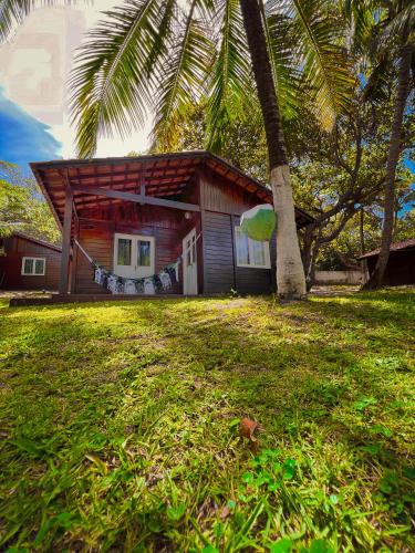 a small house with a palm tree in front of it at Verde Mar Pipa Beach in Pipa