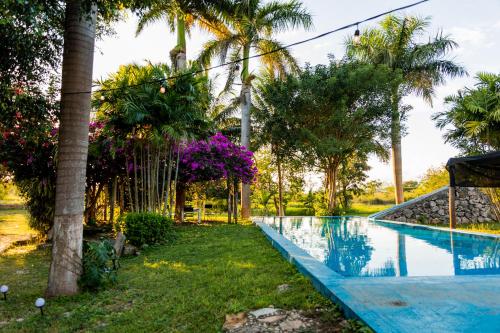 a swimming pool in a yard with palm trees at Posada Barahona in Izamal