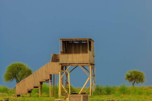 a tree house in the middle of a field at Amanya 1-Bed Zebra Tent in Amboseli