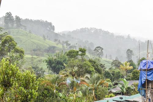 a view of a hillside with trees and forests at Archu Agam in Kotagala