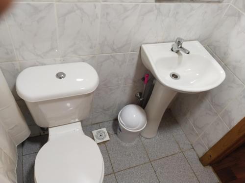 bagno con servizi igienici bianchi e lavandino di Cabaña La pincoya ad Achao