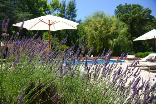 un jardín con flores púrpuras, una sombrilla y una piscina en La Pierrerie, en Grimaud