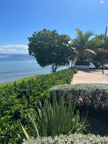 a walkway next to the ocean with trees and bushes at Bayfront Villa & Apartment in Portmore