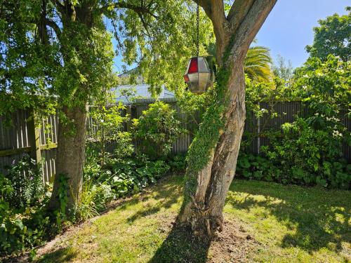 a tree with a light on it next to a fence at Aspiring Villa Apartment in Christchurch
