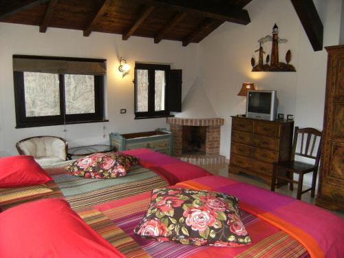 a bedroom with a large bed and a television at Locanda del Ponte B&B in Balsorano Vecchio