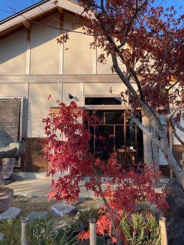 a building with a red tree in front of it at 小舞庵 Komaian in Tokushima