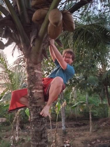 a young boy is sitting on a tree at Lake Homes in Varkala