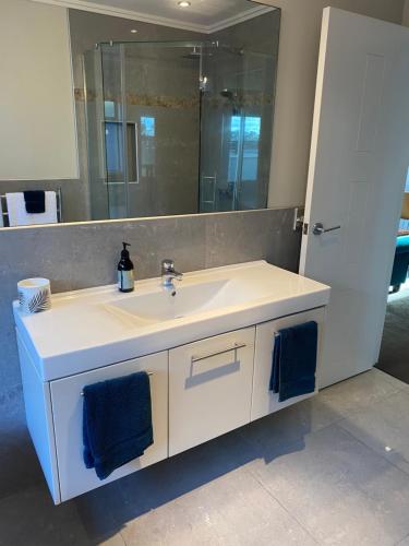 新普利茅斯的住宿－Saint Aubyn Retreat，一间带水槽和镜子的浴室