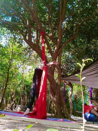 Taman di luar JUNGLE AERIAL ARTS NAMASTE LA UNION Chi fan kubo 2pax