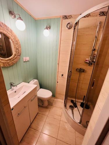 a bathroom with a shower and a toilet and a sink at Siedlisko Glinnik in Glinnik