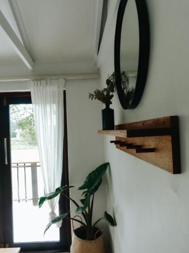 a mirror and a plant in a room with a window at Stanley Island in Plettenberg Bay