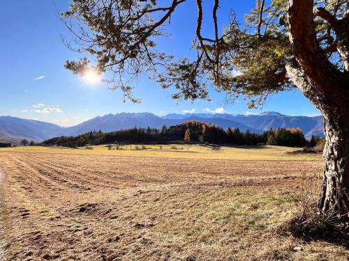 a field with a tree and mountains in the background at Ciasa Erica - Val di Non in Predaia
