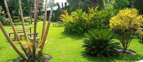 a garden with a wooden bench and some plants at Karibu Heritage House in Arusha
