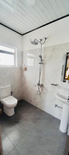 a bathroom with a toilet and a sink at Ivory Laze Hotel in Negombo
