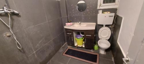 a bathroom with a toilet and a sink and a shower at Израиль Хайфа Адар in Haifa