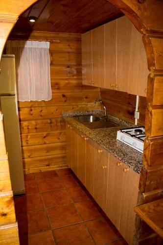 a kitchen with a sink and a stove at Camping La Puerta in Moratalla