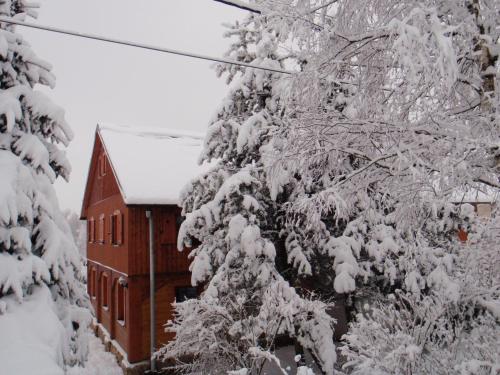 a red building covered in snow next to trees at Guest House Sněžník in Sněžnik