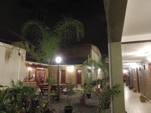 a night view of a patio with plants at Hotel Buenos Aires in Salta