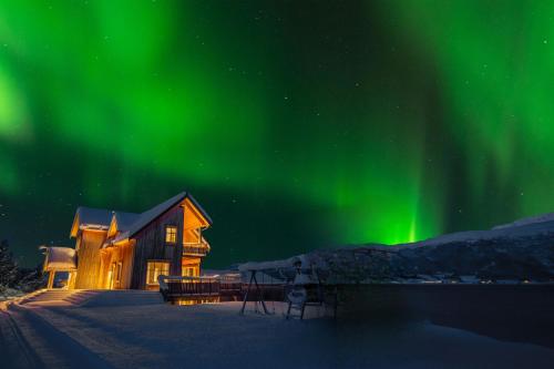 una casa bajo la aurora boreal en la nieve en Villa Nestun - secluded oasis near Tromsø city, en Selnes