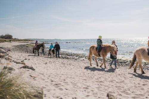 un gruppo di persone che cavalcano sulla spiaggia di Büdlfarm - Der Familien-Erlebnishof in Strandnähe a Fehmarn