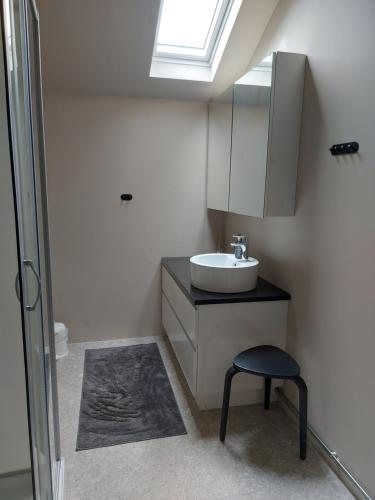 a bathroom with a sink and a stool and a skylight at Heppa Apartments in Höfn