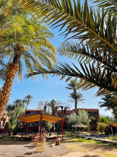 a resort with a palm tree and a pavilion at Bivouac Lot Of Stars in Ouarzazate
