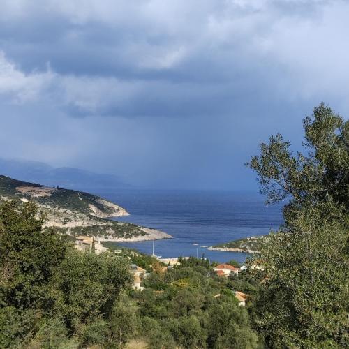 a view of the ocean from a hill with trees at Sea View Land for Rent in Agios Nikolaos
