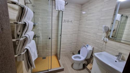 a bathroom with a shower and a toilet and a sink at SPA Resort Villa Sofia in Yablunytsya