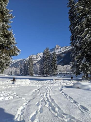 Chalet des glaciers photo 22