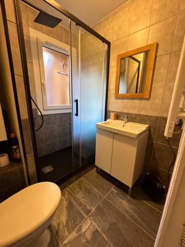uma casa de banho com um chuveiro, um lavatório e um WC. em Résidence le WAALA , face aux pistes em Les Deux Alpes