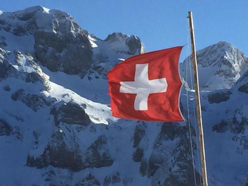 a flag in front of a snow covered mountain at Chalet Ancienne Poste in Champéry