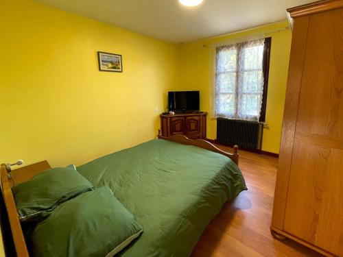 a bedroom with a green bed and a television at Gîte du canal rue de la Tuilerie in Amilly
