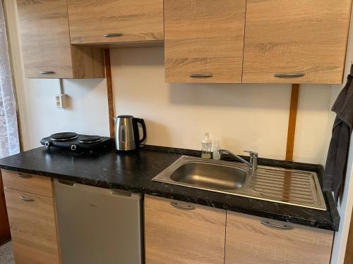 a kitchen with a sink and a counter top at Chata Svoboda in Doksy