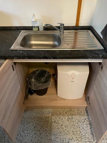 a sink in a cabinet with a trash can under it at Chata Svoboda in Doksy