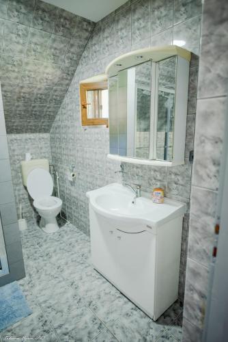 a bathroom with a sink and a toilet at Biertan 48 Guesthouse in Biertan