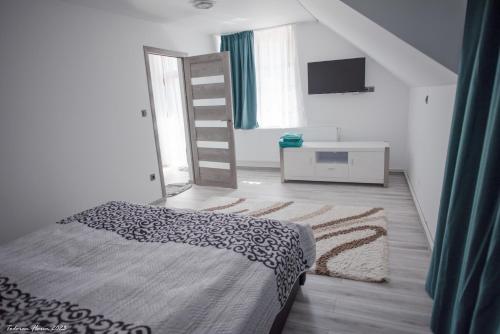 sypialnia z łóżkiem, telewizorem i drabiną w obiekcie Biertan 48 Guesthouse w mieście Biertan