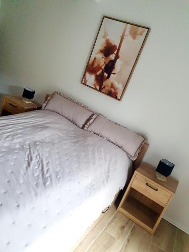 ein Schlafzimmer mit einem Bett und einem Bild an der Wand in der Unterkunft Nivis in Medebach