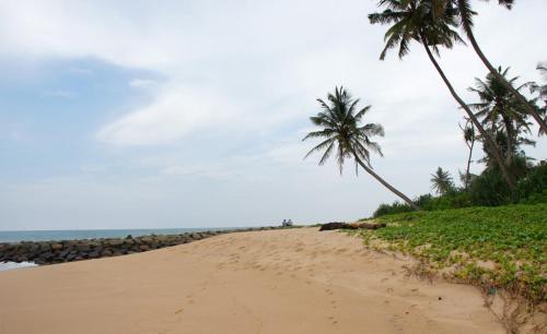 a sandy beach with palm trees and the ocean at Villa Double T Residence in Ambalangoda