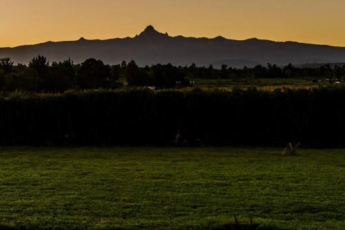 a field at sunset with a mountain in the background at The Landing Cottages in Nanyuki